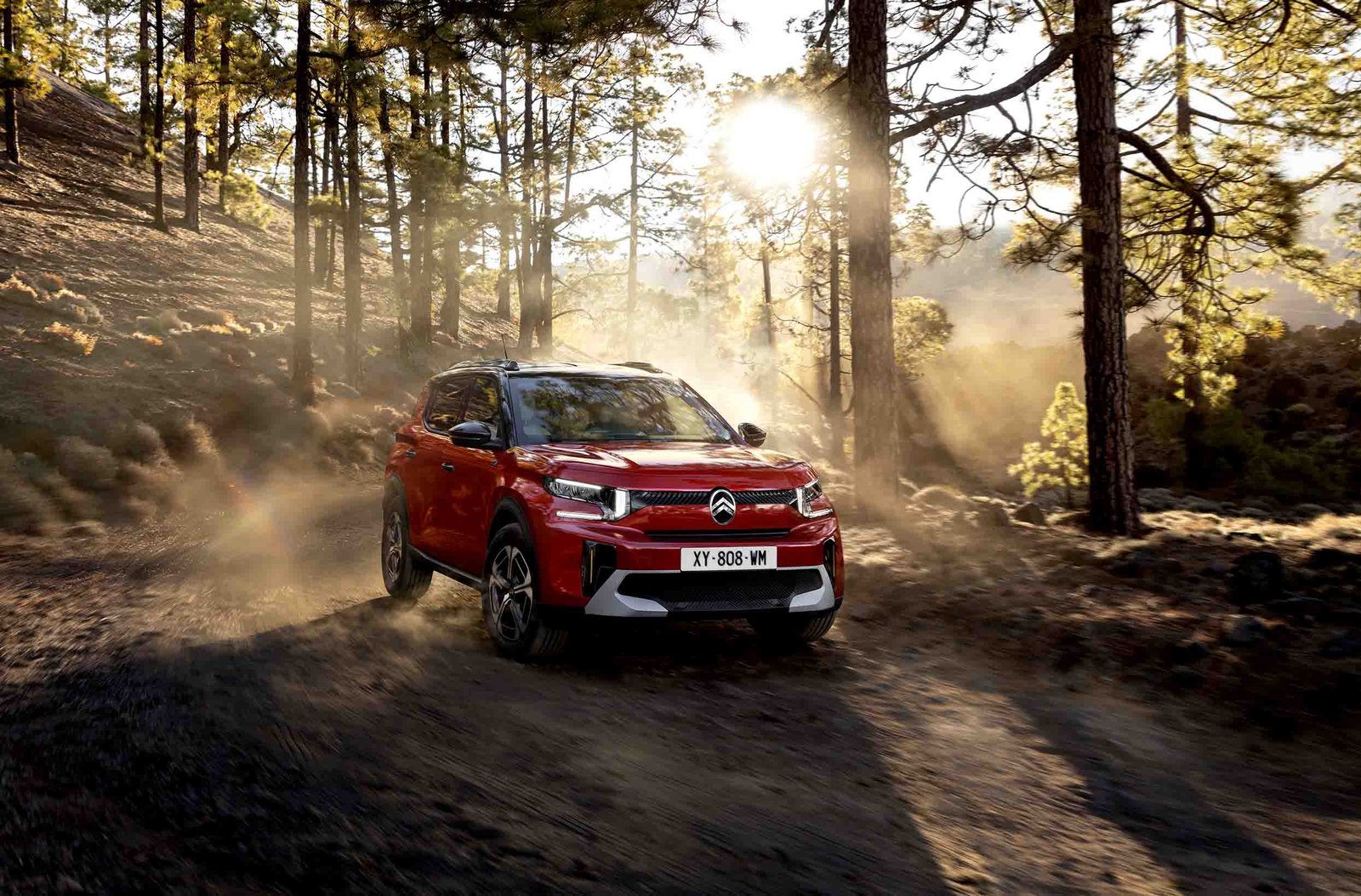 Las ayudas, clave para el coche eléctrico